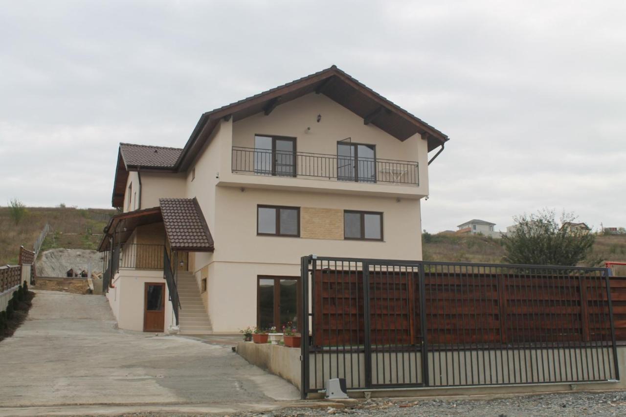 Pensiunea Giulia Home Dezmir Екстер'єр фото